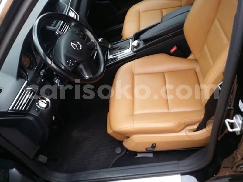 Big with watermark 30629329 194112211393369 244064733525704704 n