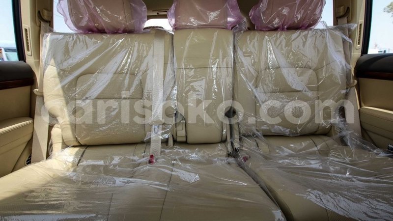 Big with watermark 8