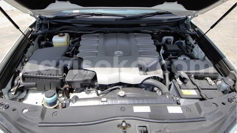 Big with watermark 12