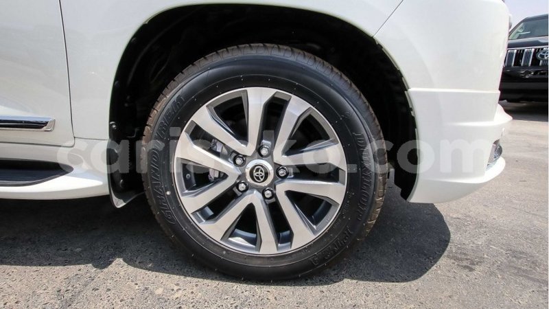 Big with watermark 16