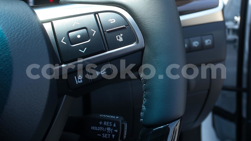 Big with watermark 7