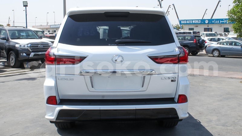 Big with watermark 14