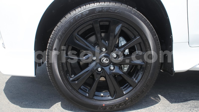 Big with watermark 16