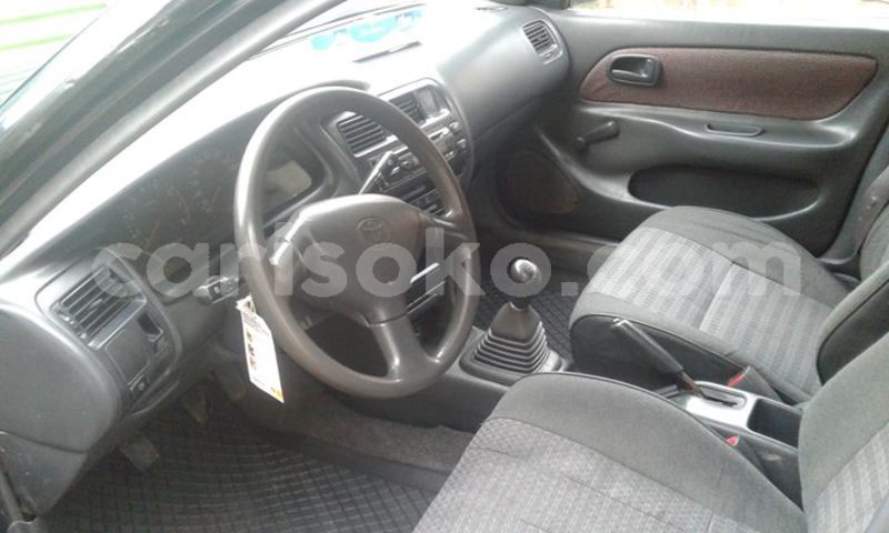 Big with watermark 30705011 1080215435450894 1812932972978896896 n