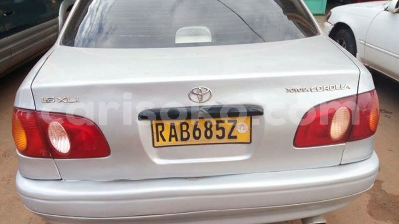 Big with watermark 30629329 194112211393369 244064733525704704 n