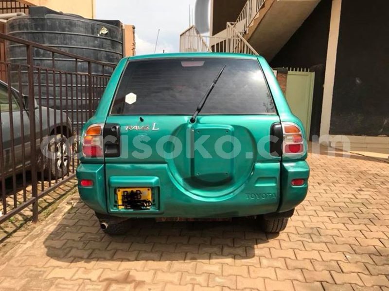 Big with watermark 30629329 194112211393369 244064733525704704 n