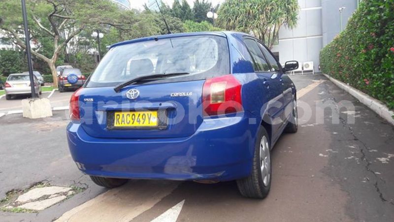 Big with watermark 30629329 194112211393369 244064733525704704 n