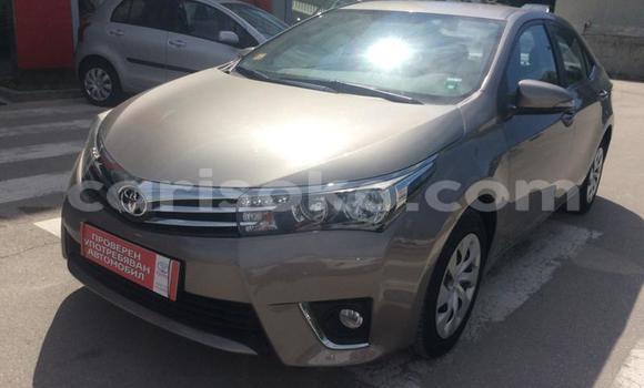 Buy Used Toyota Corolla Beige Car in Kigali in Rwanda Buy Used Toyota Corolla Beige Car in Kigali in Rwanda