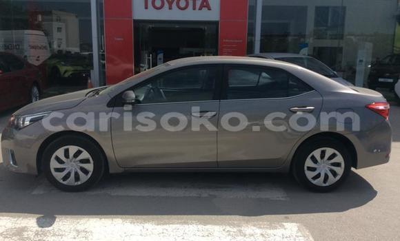 Buy Used Toyota Corolla Beige Car in Kigali in Rwanda Buy Used Toyota Corolla Beige Car in Kigali in Rwanda
