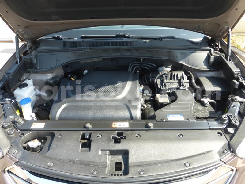 Big with watermark 21528712221096482 16.pic