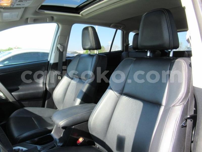 Big with watermark m6