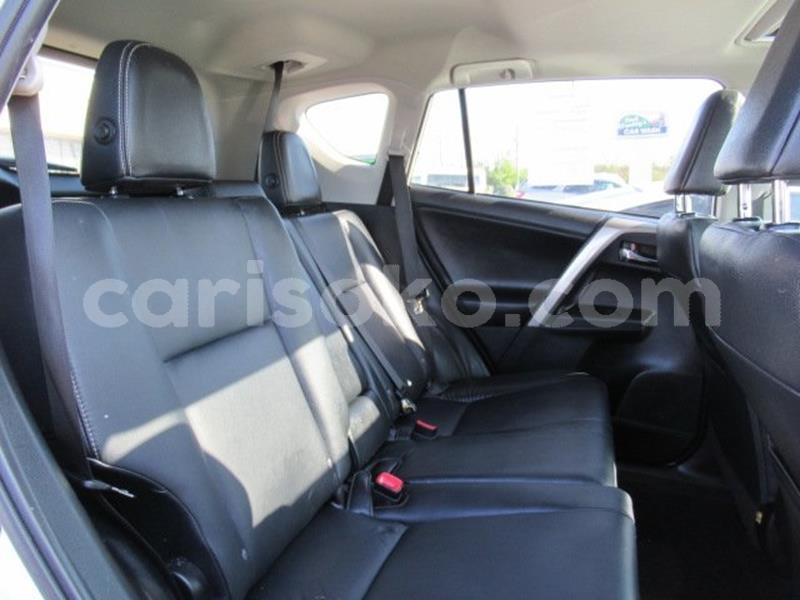 Big with watermark m8