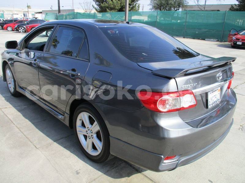 Big with watermark t3