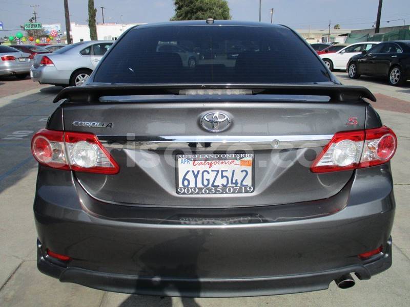 Big with watermark t5