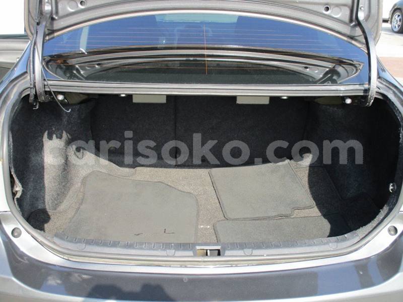 Big with watermark t9