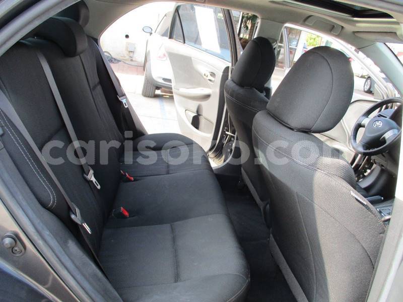 Big with watermark t10