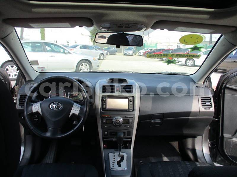 Big with watermark t12