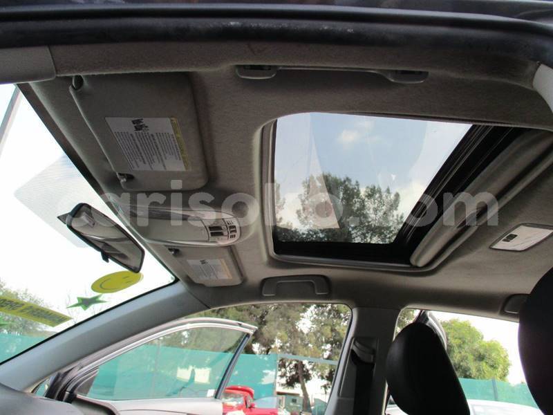 Big with watermark t13