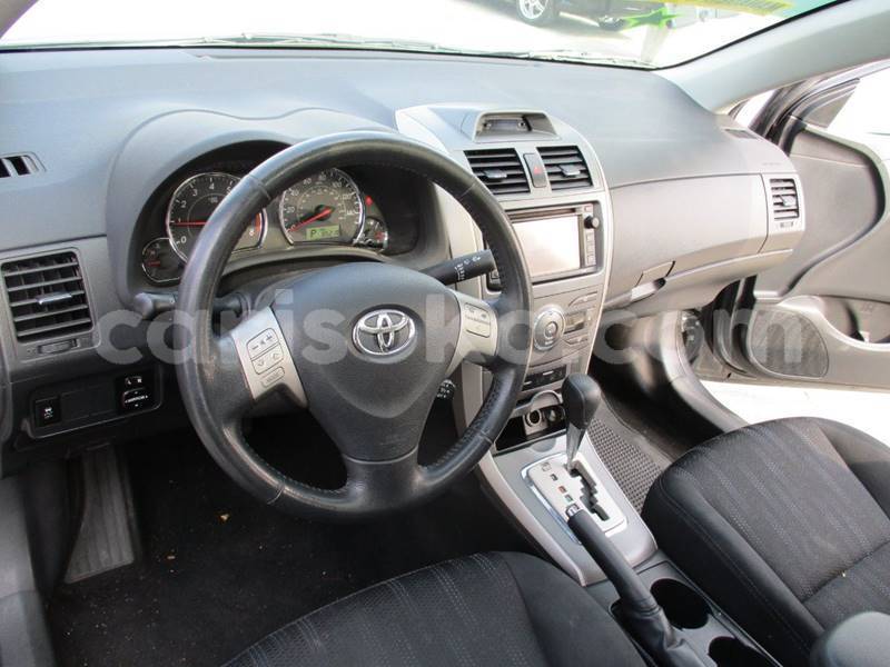 Big with watermark t14