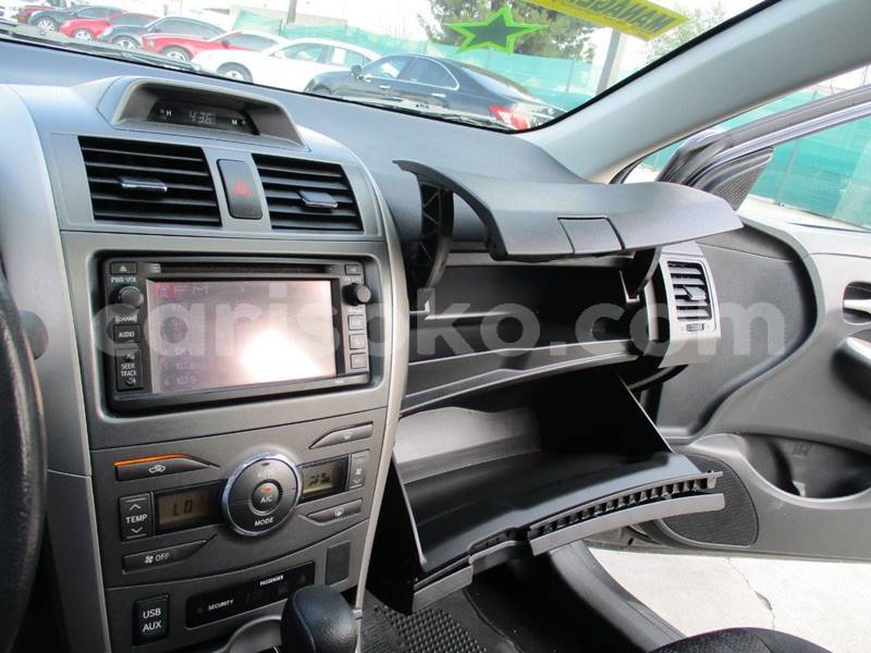 Big with watermark t15