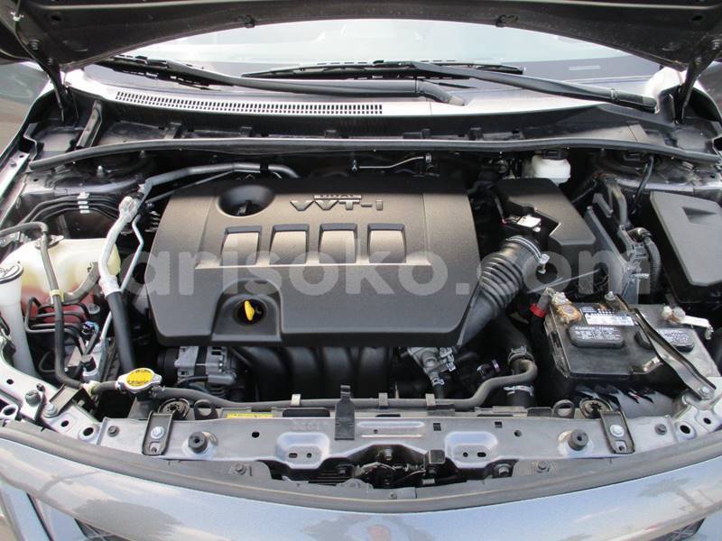 Big with watermark t16