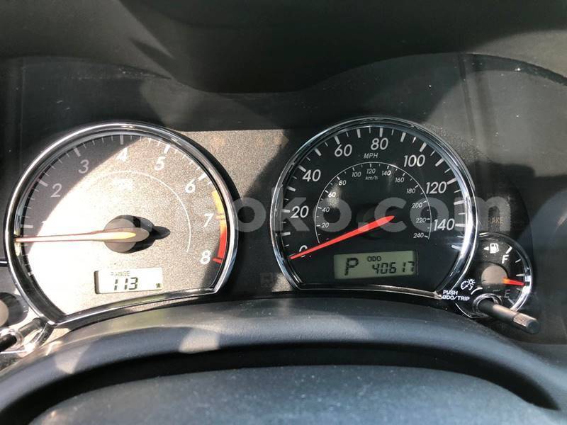 Big with watermark c12