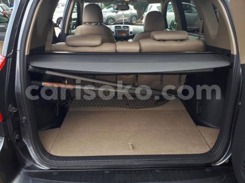 Big with watermark 67816945 861447847570460 3376355434418929664 n