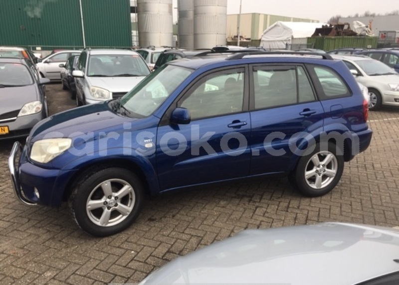 Big with watermark b1