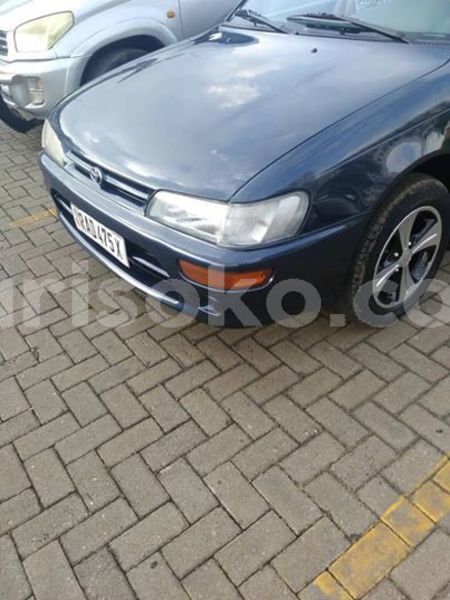 Big with watermark 68885812 2388503348077900 3671648699605319680 n