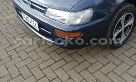 Buy Used Toyota Corolla Blue Car in Kigali in Rwanda Buy Used Toyota Corolla Blue Car in Kigali in Rwanda