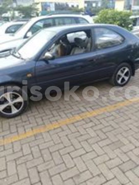 Big with watermark 68418754 2388503364744565 6323752290050113536 n