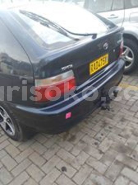 Big with watermark 68582580 2388503381411230 1602754938713145344 n