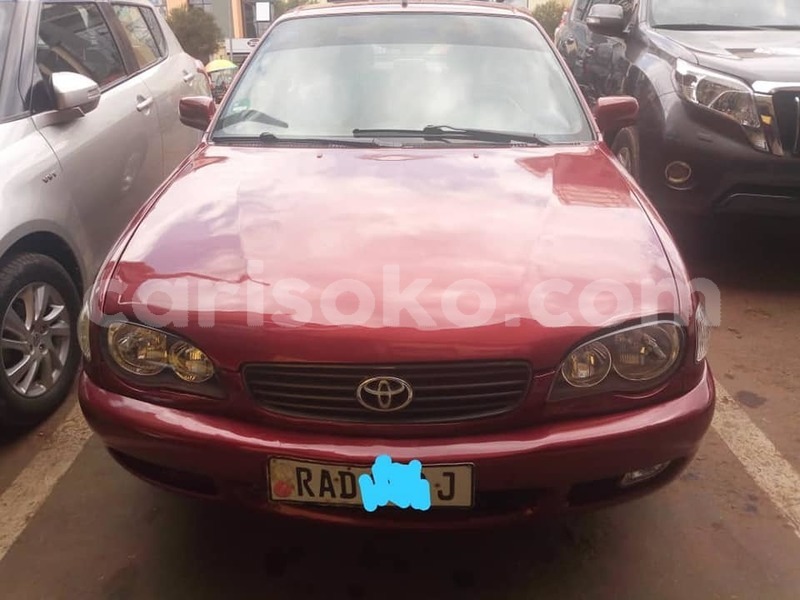 Big with watermark 67916034 2384539095140992 4293876112313810944 n