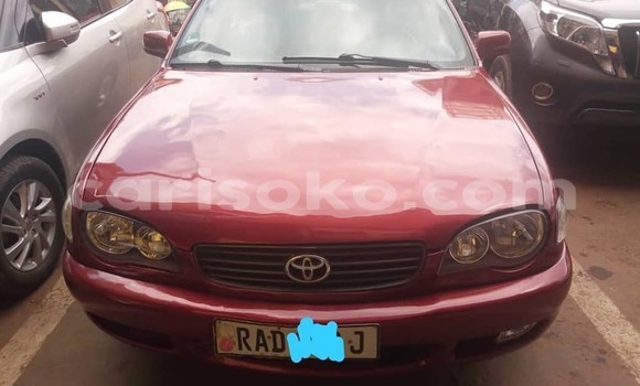 Buy Used Toyota Corolla Red Car in Kigali in Rwanda Buy Used Toyota Corolla Red Car in Kigali in Rwanda