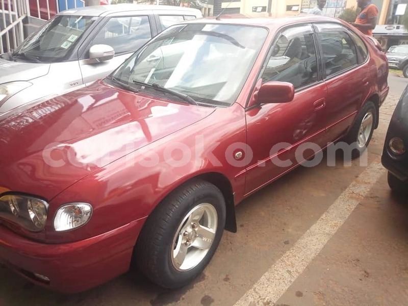 Big with watermark 67817669 2384539071807661 2583119870140874752 n