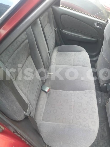 Big with watermark 67769093 2384539038474331 6533274504284602368 n