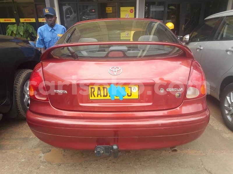 Big with watermark 67883843 2384538981807670 730936397929644032 n