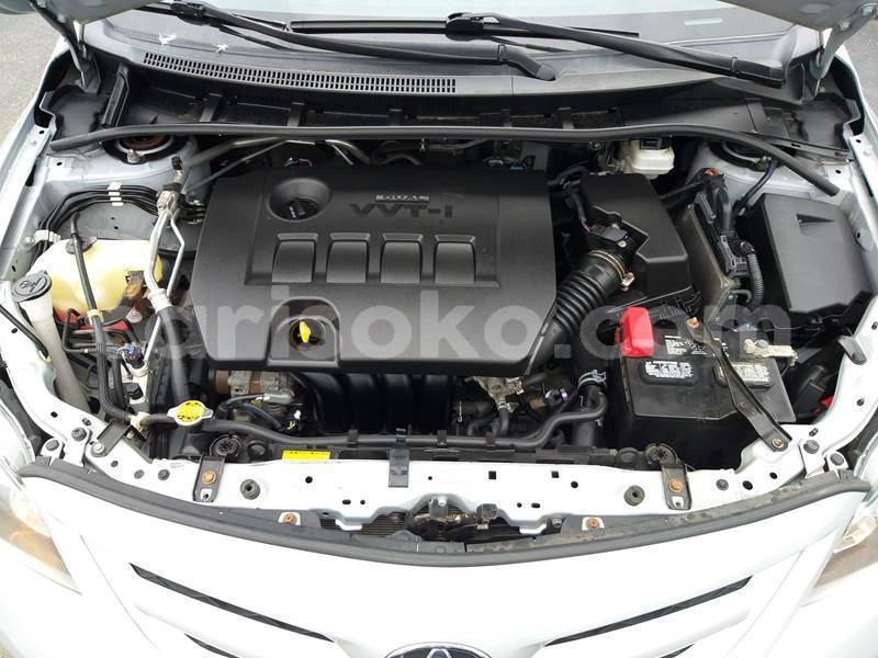 Big with watermark 1360466940