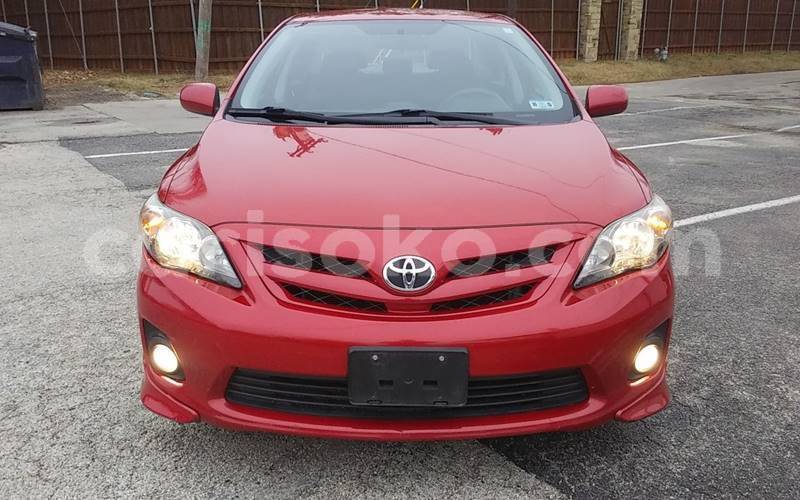 Big with watermark t2