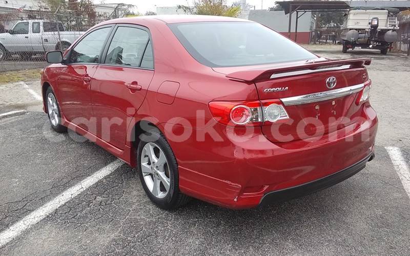 Big with watermark t6