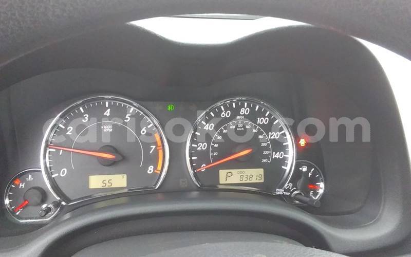 Big with watermark t8