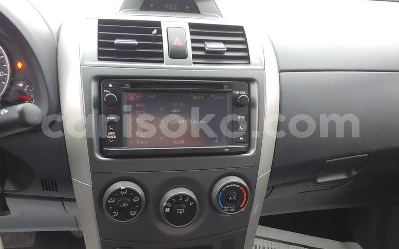 Big with watermark t10