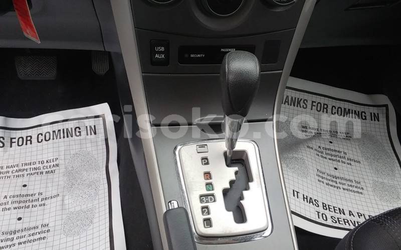 Big with watermark t11