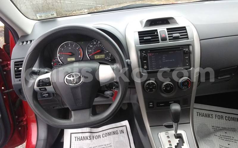 Big with watermark t12