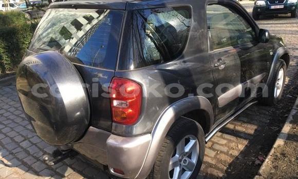 Buy Used Toyota RAV4 Beige Car in Kigali in Rwanda Buy Used Toyota RAV4 Beige Car in Kigali in Rwanda