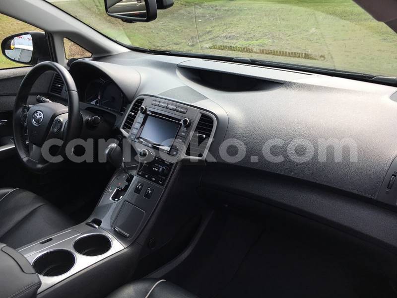 Big with watermark n10