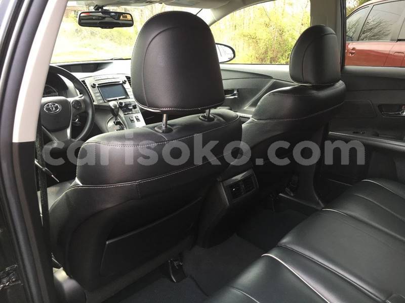 Big with watermark n13