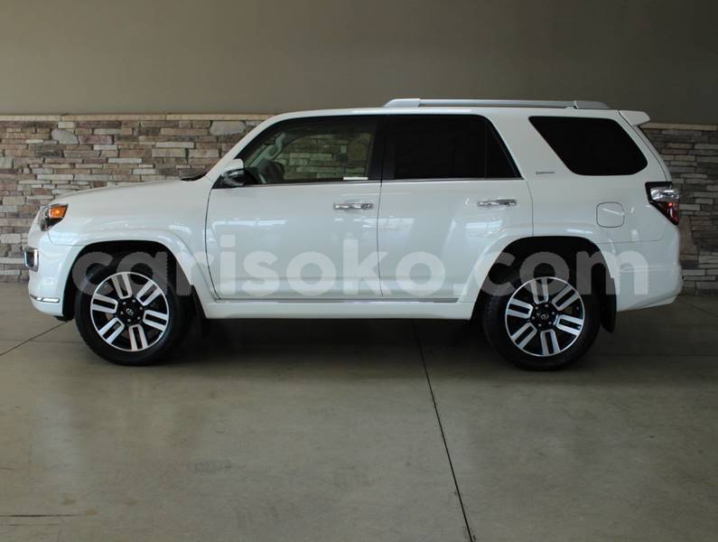 Big with watermark f1