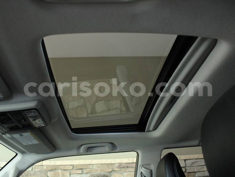 Big with watermark f6