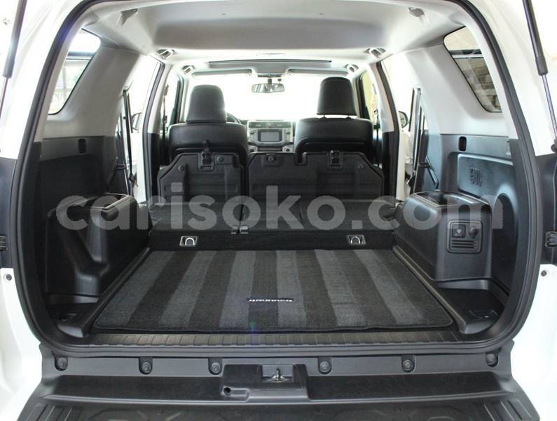 Big with watermark f10